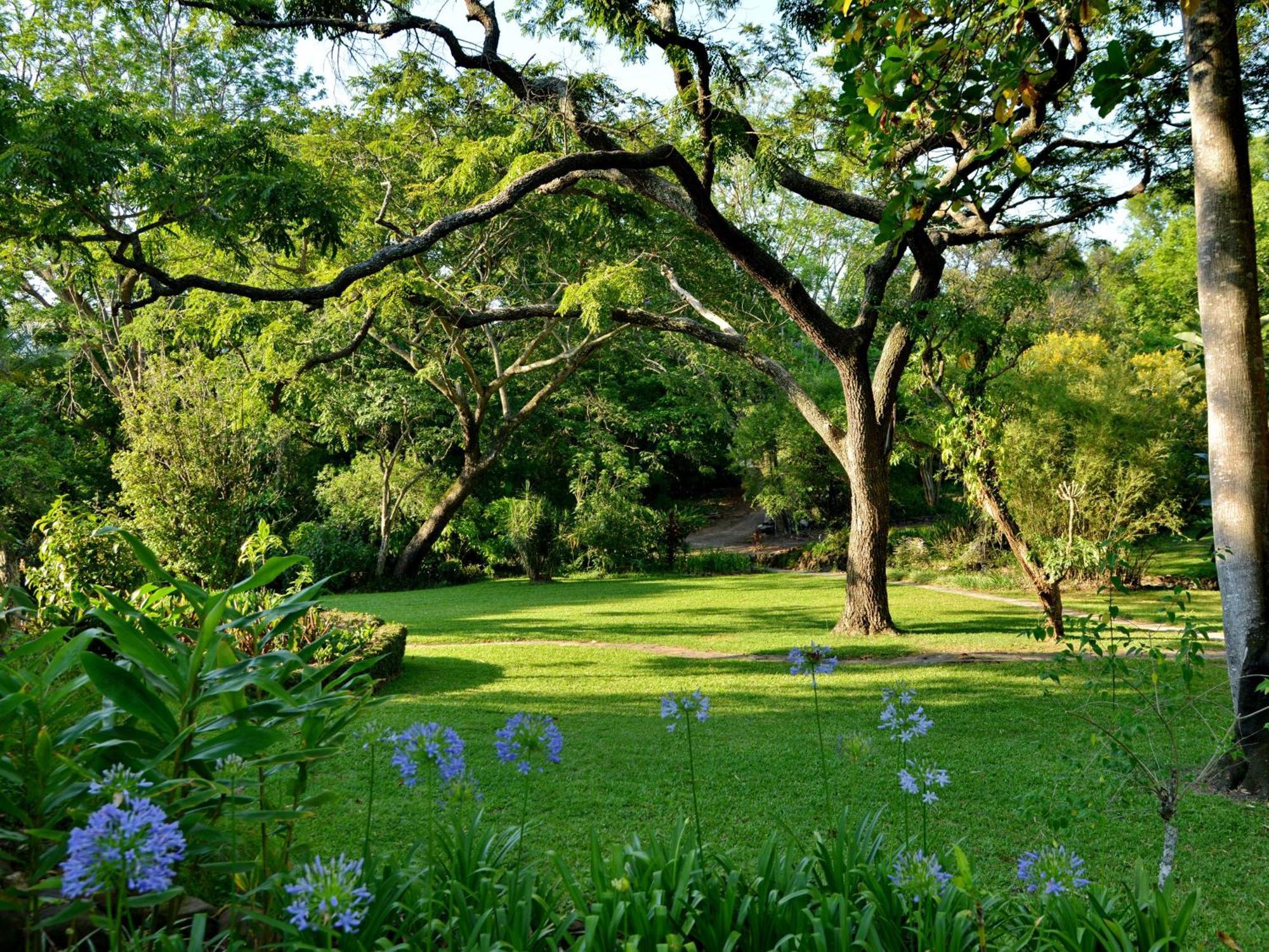 Anew Resort Hazyview Kruger Park Exterior foto